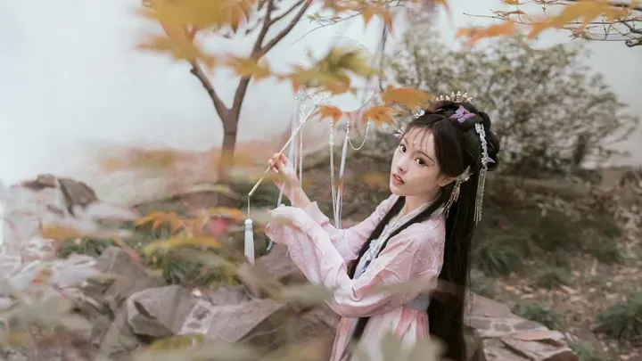 图片[36]-1894个美女壁纸分享-小破站 ohmypo