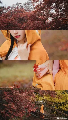 图片[14]-7107个【美女壁纸】迷失幻境系列数字篇部分合集【仅数字篇】壁纸分享-小破站 ohmypo