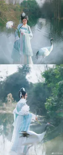 图片[19]-7107个【美女壁纸】迷失幻境系列数字篇部分合集【仅数字篇】壁纸分享-小破站 ohmypo
