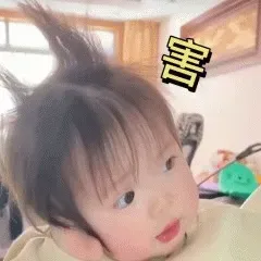 图片[6]-101个一颗肉丸子表情包分享-小破站 ohmypo