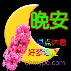 图片[2]-161个中老年风表情包分享-小破站 ohmypo