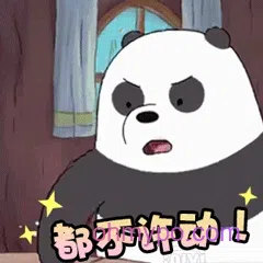 图片[10]-301个熊熊表情包分享-小破站 ohmypo