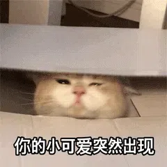 图片[2]-1531个猫咪表情包分享-小破站 ohmypo