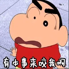 图片[5]-341个蜡笔小新表情包分享-小破站 ohmypo
