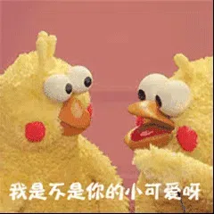 图片[4]-211个鹦鹉兄弟表情包分享-小破站 ohmypo