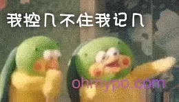 图片[2]-211个鹦鹉兄弟表情包分享-小破站 ohmypo