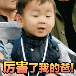 图片[4]-451个宋明国动态表情包分享-小破站 ohmypo