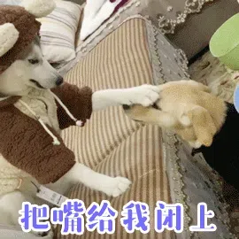 图片[6]-431个狗狗表情包分享-小破站 ohmypo