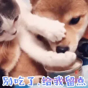 431个狗狗表情包分享-小破站 ohmypo