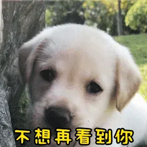 图片[2]-431个狗狗表情包分享-小破站 ohmypo