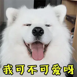 图片[3]-431个狗狗表情包分享-小破站 ohmypo