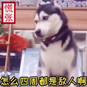 图片[8]-431个狗狗表情包分享-小破站 ohmypo