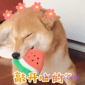 图片[9]-431个狗狗表情包分享-小破站 ohmypo