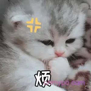 图片[6]-1531个猫咪表情包分享-小破站 ohmypo