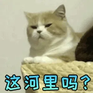 图片[7]-1531个猫咪表情包分享-小破站 ohmypo