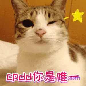 图片[9]-1531个猫咪表情包分享-小破站 ohmypo