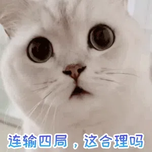 图片[10]-1531个猫咪表情包分享-小破站 ohmypo