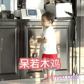 图片[7]-451个宋明国动态表情包分享-小破站 ohmypo