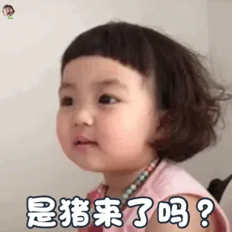 图片[2]-341个罗熙动态表情包分享-小破站 ohmypo
