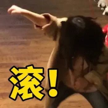 图片[3]-206个权律二静态表情包分享-小破站 ohmypo