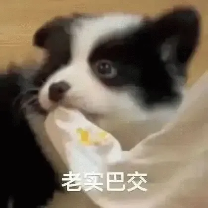图片[2]-1041个杂烩表情包2分享-小破站 ohmypo