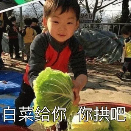 图片[2]-81个宋明国静态表情包分享-小破站 ohmypo