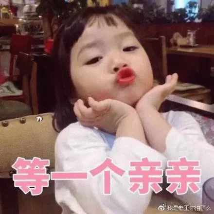 图片[4]-206个权律二静态表情包分享-小破站 ohmypo