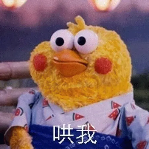 图片[9]-211个鹦鹉兄弟表情包分享-小破站 ohmypo