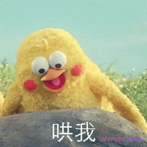 图片[10]-211个鹦鹉兄弟表情包分享-小破站 ohmypo