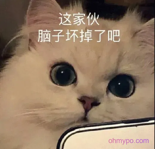 图片[8]-1169个杂烩表情包1分享-小破站 ohmypo