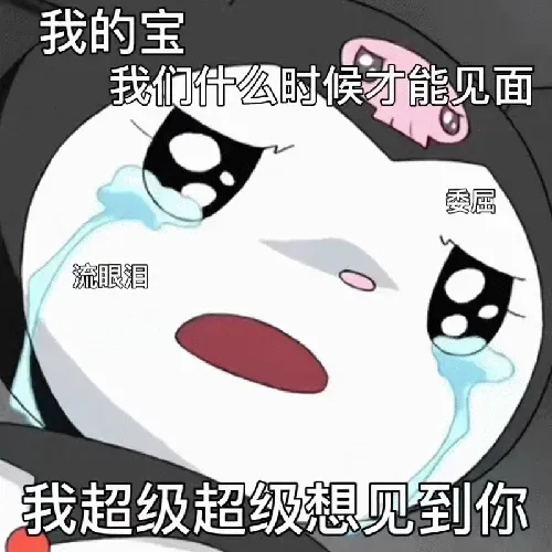 图片[5]-1041个杂烩表情包2分享-小破站 ohmypo